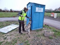 Hund zeigt am Dixiklo an