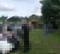 Parken am Maislabyrinth Blick über den Parkplatz mit plaudernden Hundeführern