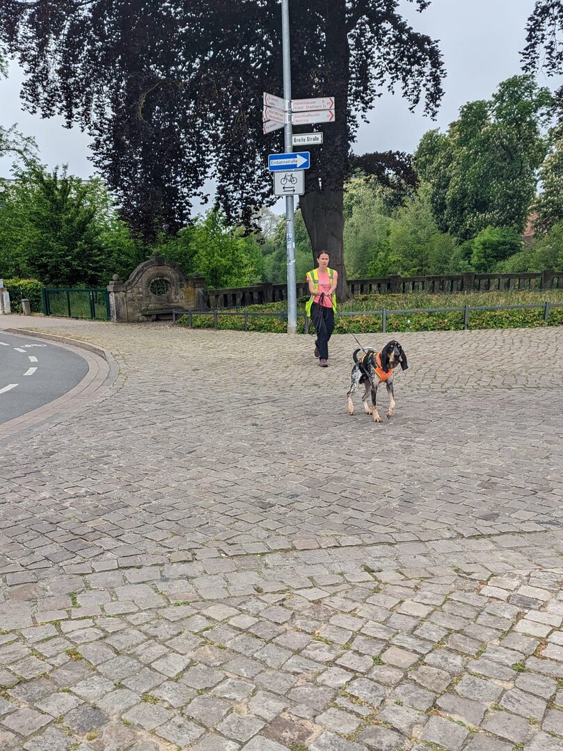 Rabea & Gregory Start in die Suche am Langenbrücker Tor