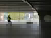 Technologiepark Paderborn Suchhund Bexx arbeitet sich durch ein Parkhaus