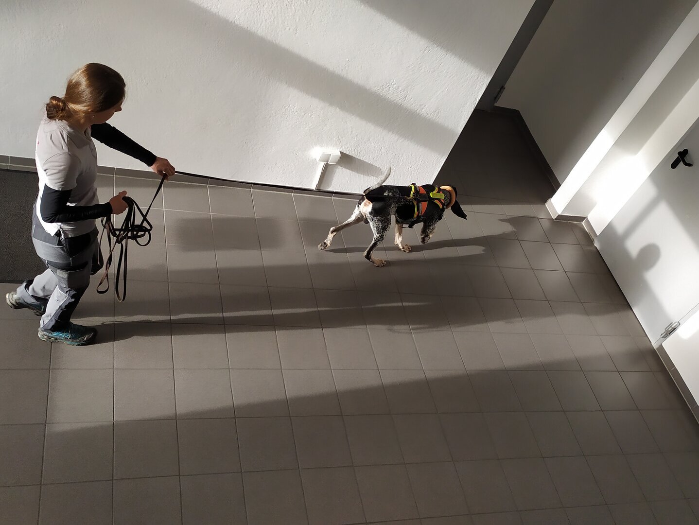 Entscheidung im Treppenhaus Foto von oben. Der Hund zeigt an, dass es in den Gang nach links weitergeht.