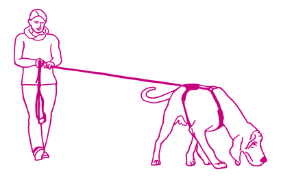 Mantrail Zeichnung eichnung trailender Hund mit Hundeführerin