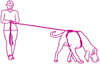 Mantrailing Zeichnung Hundeführerin mit Suchhund