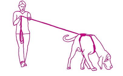 Zeichnung Trailender Hund mit Hundefuehrerin