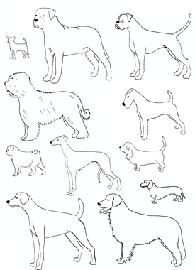Diverse Hunderassen zur Verdeutlichung als Zeichnung 