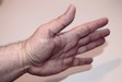 menschliche Handfläche